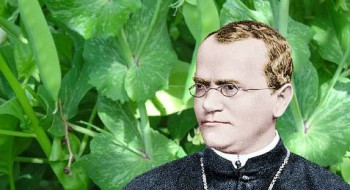 Gregor Mendel